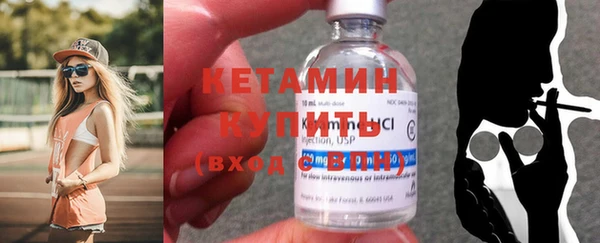 прущие грибы Вязники