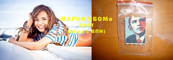 прущие грибы Вязники