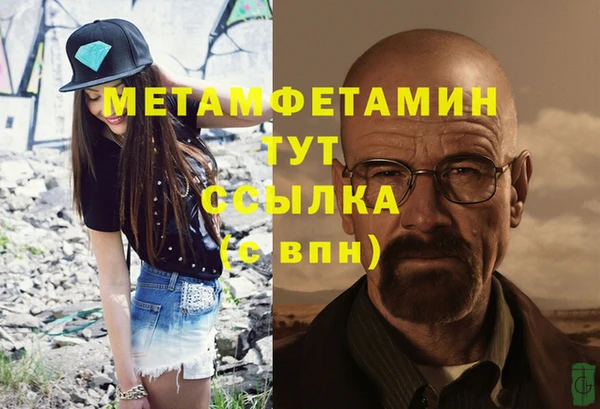 прущие грибы Вязники