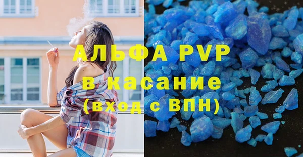 прущие грибы Вязники